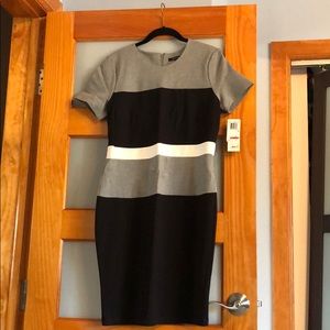 NWT French Connection stretchy dress 12 large